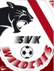 SVK野猫女足 Logo