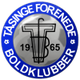 塔辛格 Logo