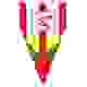 波罗尼亚 Logo