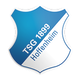 霍芬海姆U19 Logo