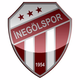 伊尼高尔士邦U19 Logo
