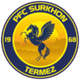 特尔梅兹 Logo