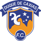 卡斯尔斯女足 Logo