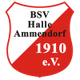 BSV哈雷阿门多夫 Logo