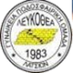 里夫科西亚女足 Logo