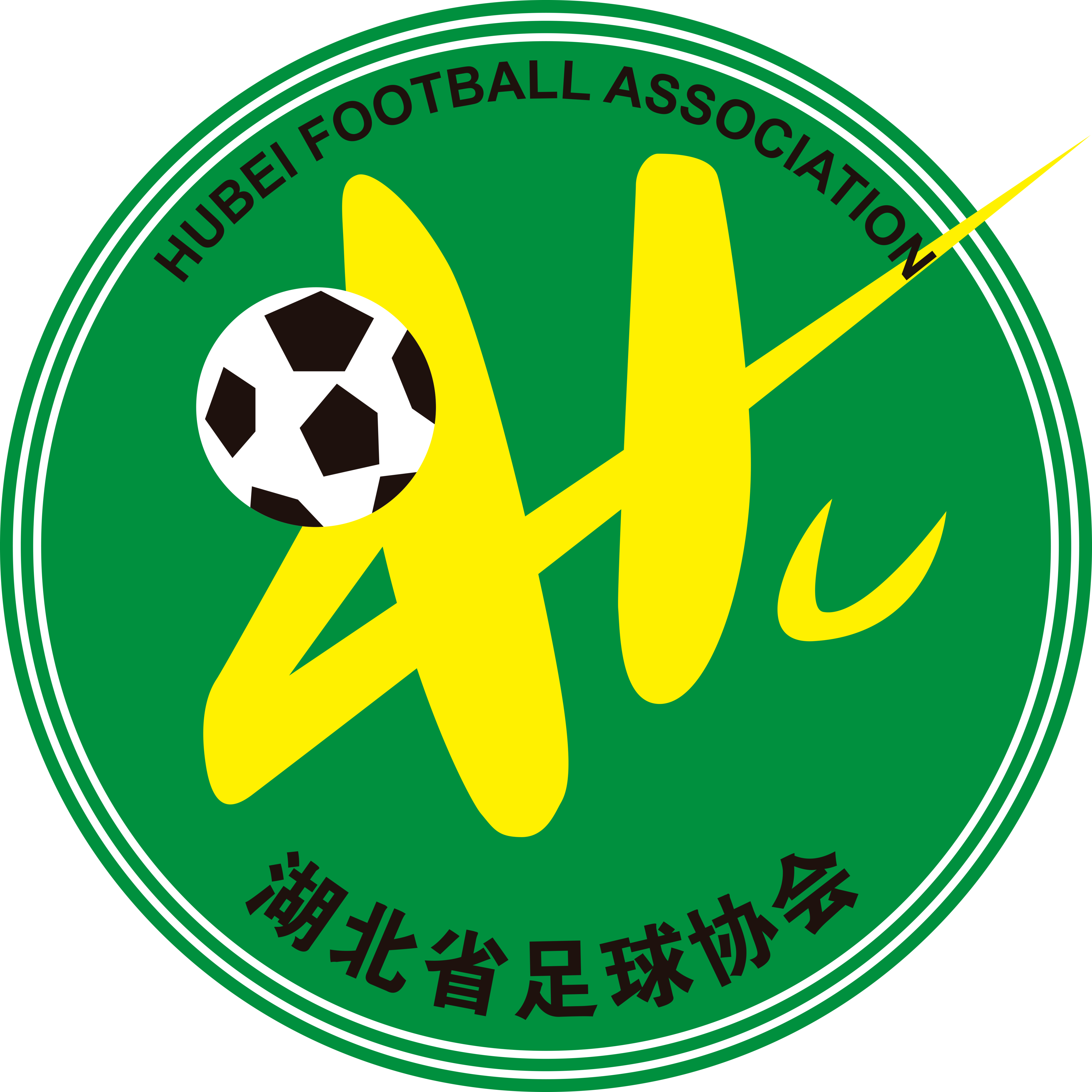 湖北全运女足 Logo