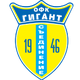 吉甘特 Logo