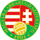 匈牙利U19 Logo