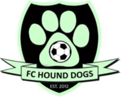 猎犬队 Logo