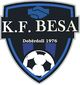 KF贝萨多伯多尔 Logo