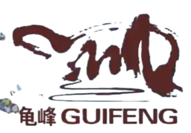 江西省弋阳县龟峰足球队 Logo
