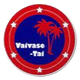 华斯泰FC Logo