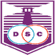 德丰索体育队青年队 Logo