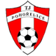 波霍热利采 Logo
