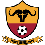 年轻水牛女足 Logo