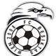 贝斯卡塔斯 Logo