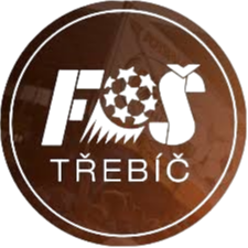 FS特热比奇 Logo