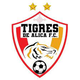 阿里卡老虎队 Logo