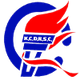 龙城康体 Logo