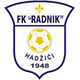 拉德尼克 Logo