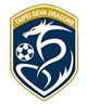 台北天龙 Logo