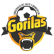 胡安纳卡特兰 Logo