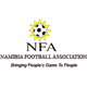 纳米比亚女足 Logo