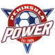半岛电力女足 Logo