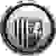 吉林汉姆女足 Logo