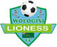 沃洛吉 Logo