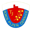 SP塞尔尼斯 Logo