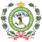 防御女足 Logo