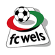 FC威尔士 Logo