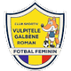 加尔宾女足 Logo