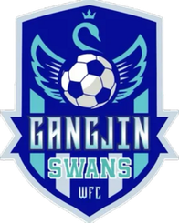 康津天鹅女足 Logo