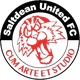 索尔特多恩女足 Logo