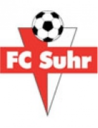 苏尔 Logo