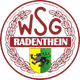 WSG Logo