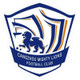 沧州雄狮(已退出) Logo
