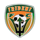 三叉戟FC Logo