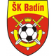 SK巴丁 Logo