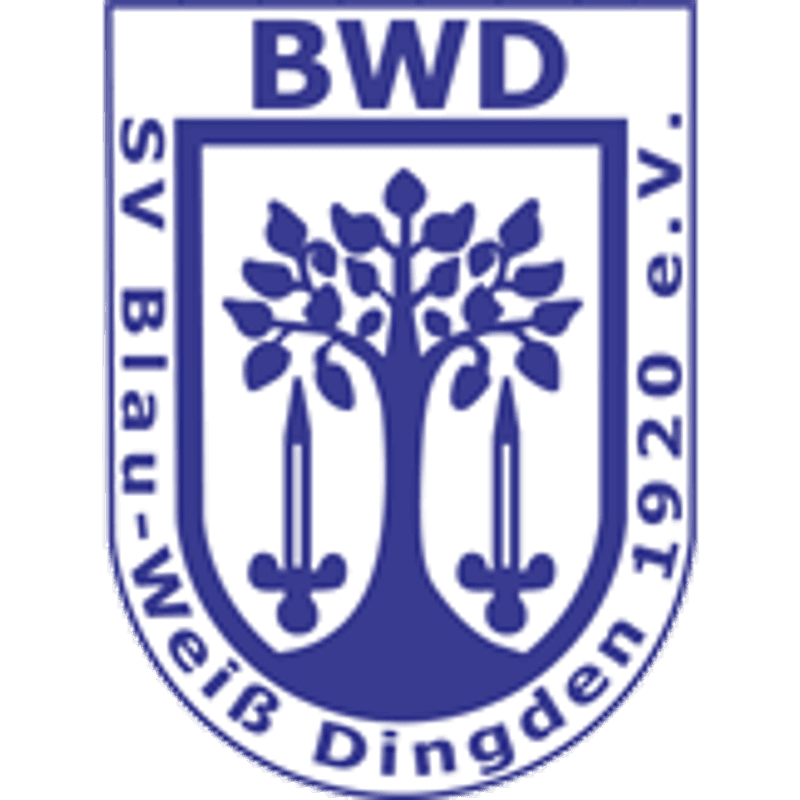 丁登 Logo