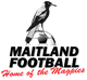 梅特兰女足 Logo