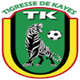 虎鲸女足 Logo