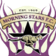 晨星 Logo