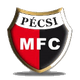 佩奇U19 Logo