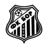 博尔1919 Logo