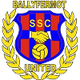 巴拉亚联 Logo