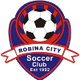 罗宾市蓝女足 Logo