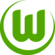 沃尔夫斯堡U17 Logo